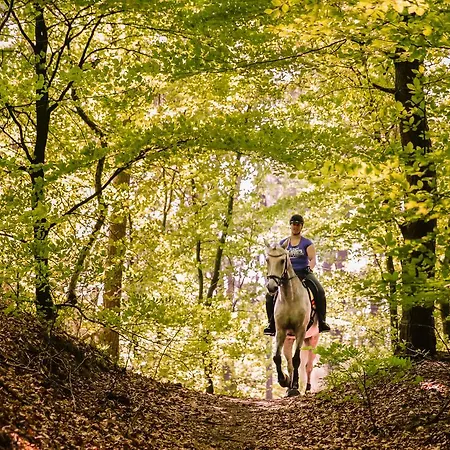 Hotel Relais & Chateaux Landgoed Het Roode Koper Ermelo