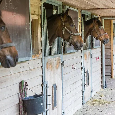 Hotel Relais & Chateaux Landgoed Het Roode Koper 4*