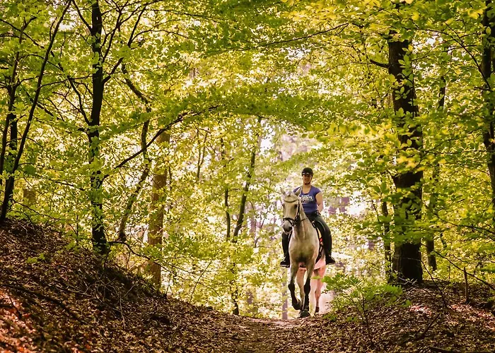 Hotel Relais & Chateaux Landgoed Het Roode Koper Ermelo