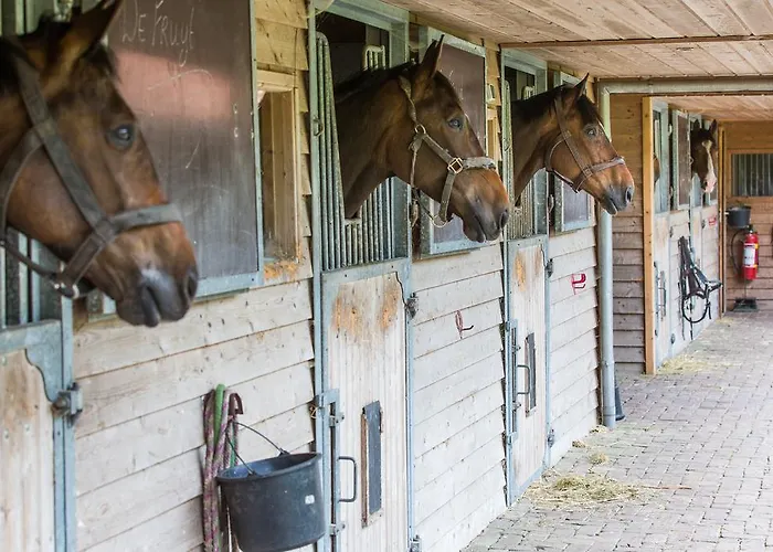 Hotel Relais & Chateaux Landgoed Het Roode Koper 5*