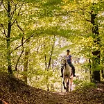 Otel Relais & Chateaux Landgoed Het Roode Koper Ermelo